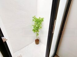 Thomson Park (D20), Terrace #460249541